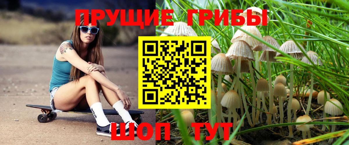 Галлюциногенные грибы Psilocybine cubensis Зеленокумск