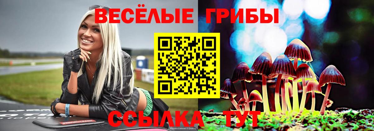 Зеленокумск  Псилоцибиновые грибы Cubensis  Вход с VPN  Псилоцибиновые грибы GOLDEN TEACHER 